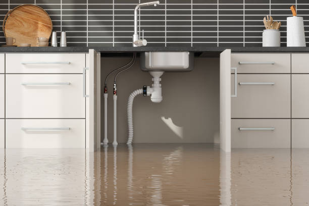 Best Water damage contractors near me  in Malta, MT